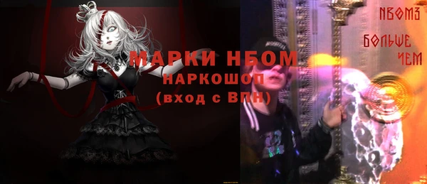 СК Алексин