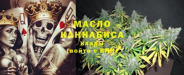 прущий лед Алзамай
