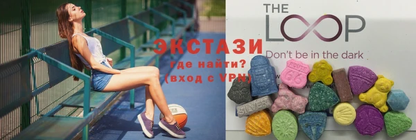 СК Алексин