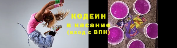 прущий лед Алзамай