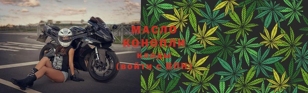 СК Алексин
