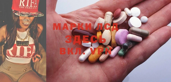 прущий лед Алзамай