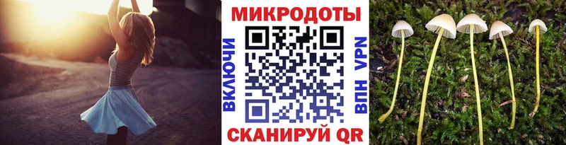 кракен ONION Микунь Галлюциногенные грибы Cubensis